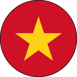 Vietnamesisch Übersetzer